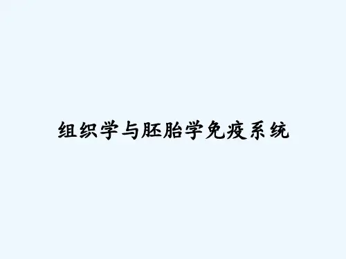 组织学与胚胎学免疫系统 PPT