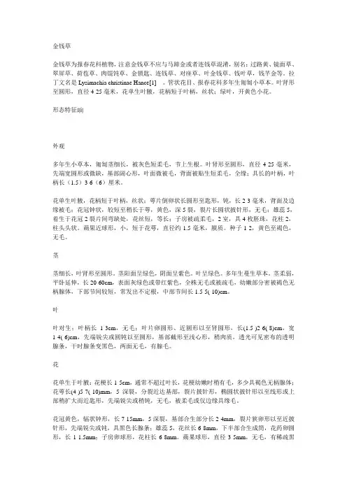 金钱草