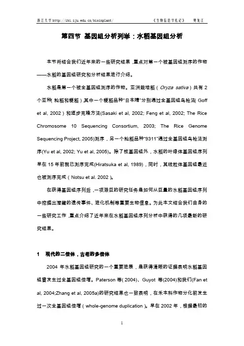 水稻基因组