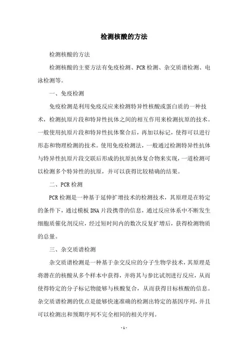 检测核酸的方法