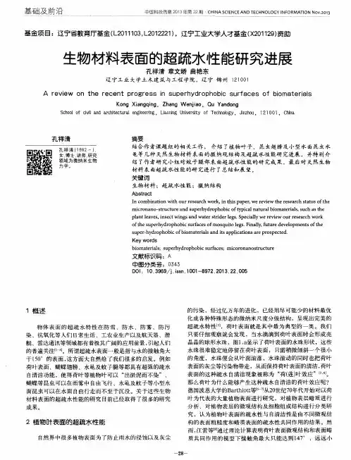 生物材料表面的超疏水性能研究进展