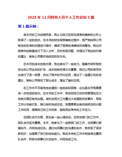 2023年11月财务人员个人工作总结5篇
