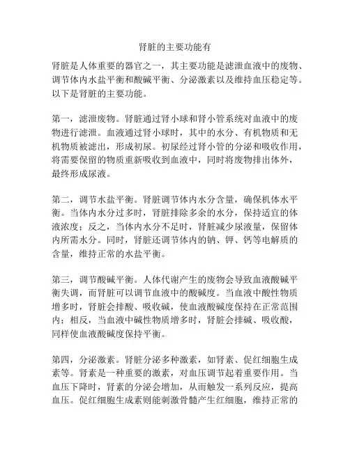 肾脏的主要功能有