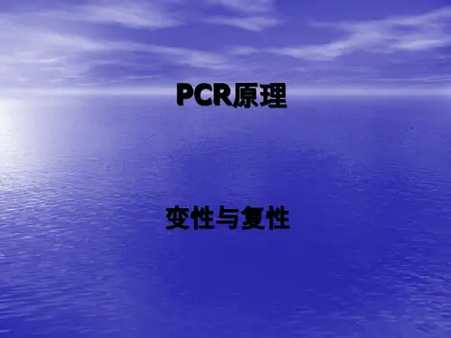 PCR技术原理ppt