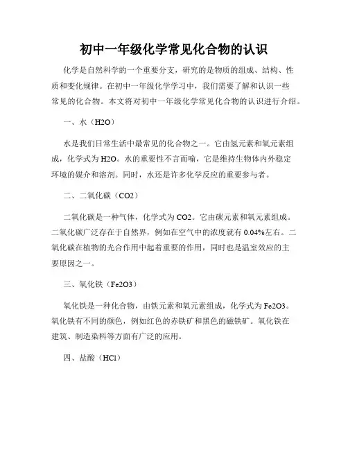 初中一年级化学常见化合物的认识