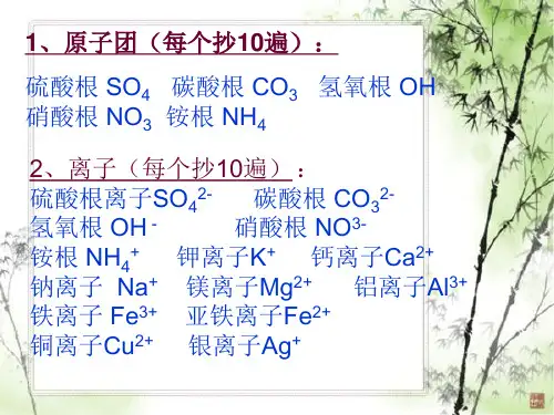 常见的化学用语
