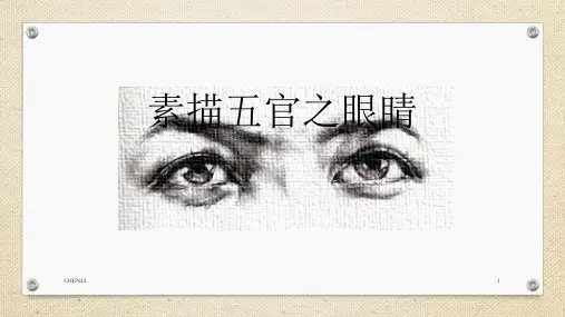 素描四-五官眼睛PPT课件