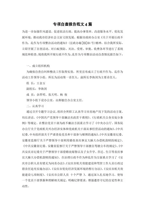 专项自查报告范文4篇