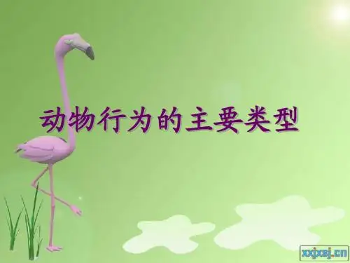 动物行为的主要类型