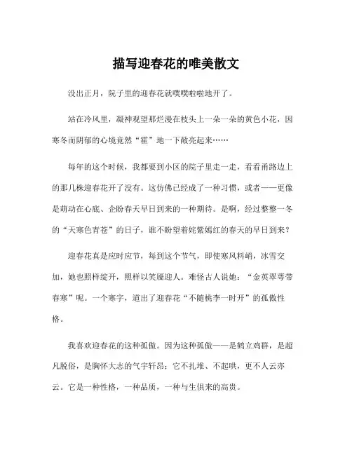 描写迎春花的唯美散文