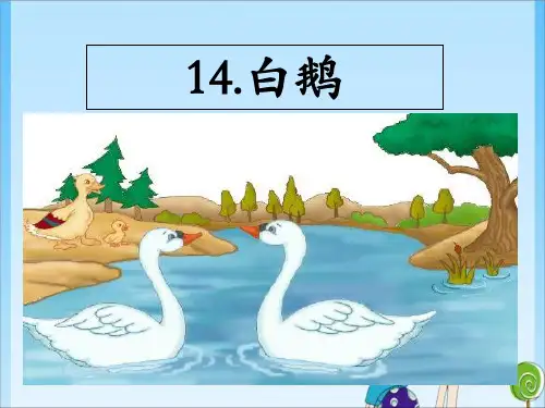 四年级14.白鹅人教 (共34张PPT)教育课件