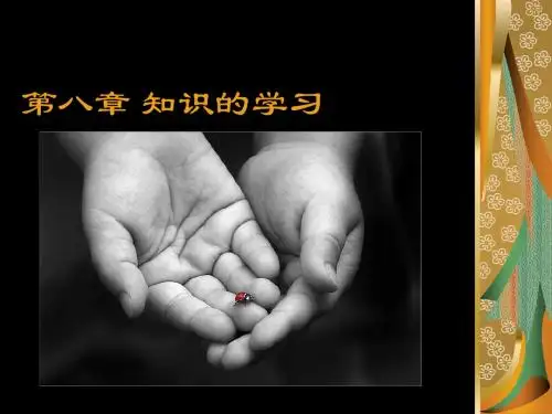 第八章 知识的学习(新)