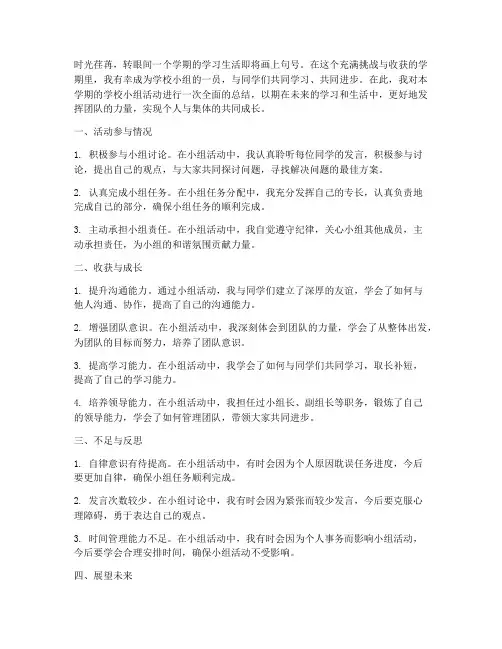 学校小组个人总结范文