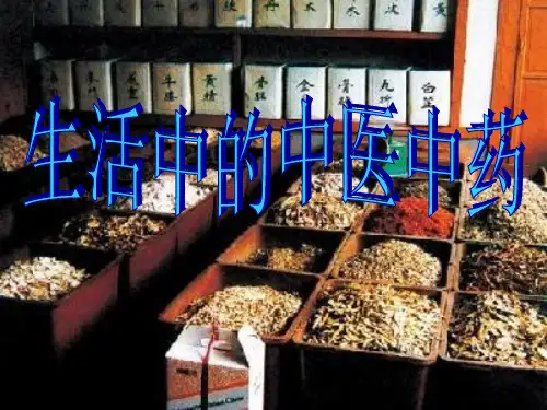生活中的中医中药