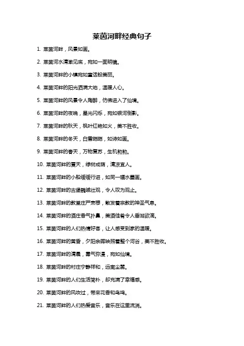 莱茵河畔经典句子