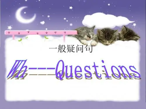 一般疑问句与特殊疑问句教学ppt课件