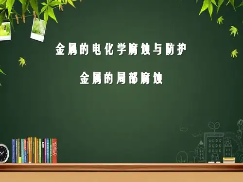 金属局部腐蚀原理与应用 ppt