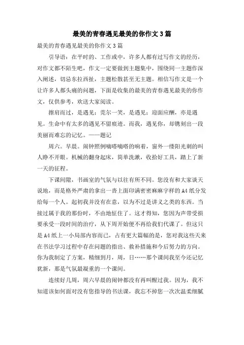 最美的青春遇见最美的你作文3篇