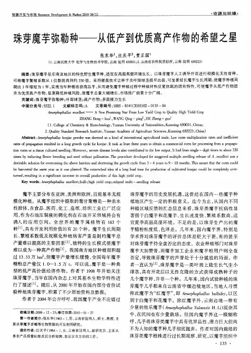 珠芽魔芋弥勒种——从低产到优质高产作物的希望之星