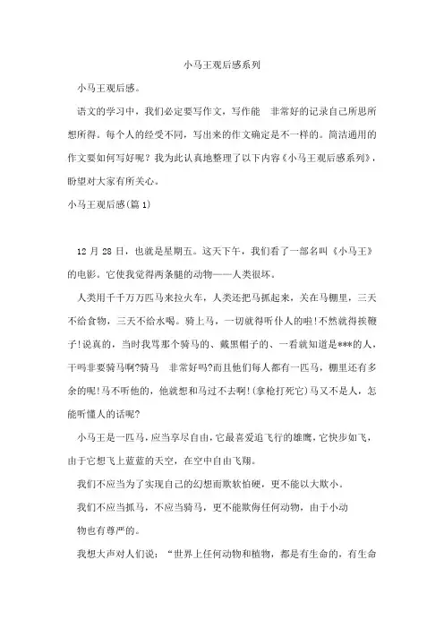 小马王观后感系列
