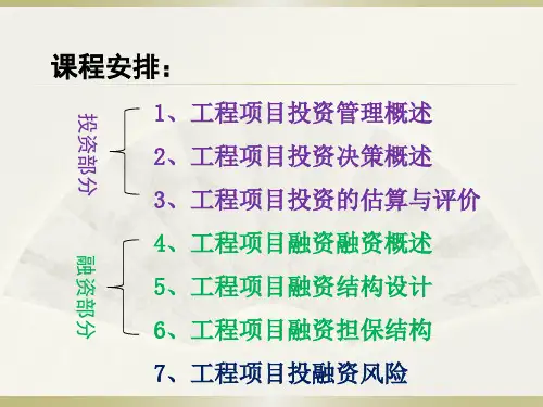 工程项目投融资概述