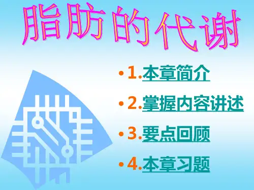 脂肪的代谢
