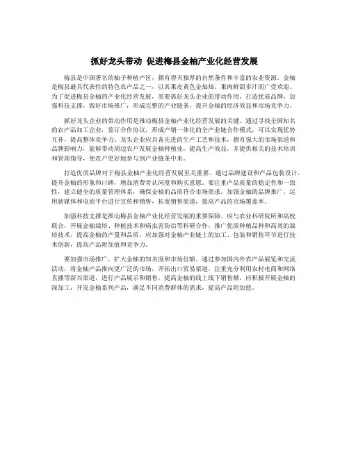 抓好龙头带动 促进梅县金柚产业化经营发展