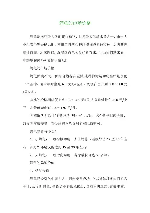 鳄龟的市场价格
