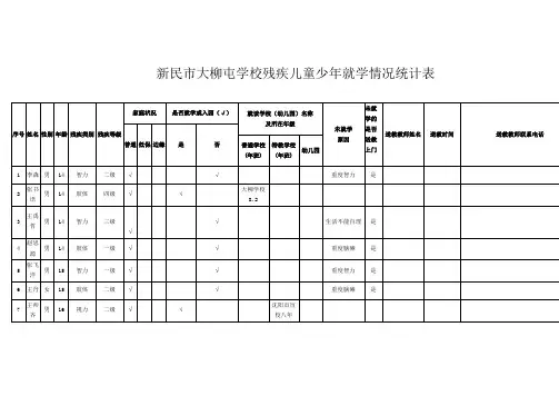 新民残疾儿童少年就学情况统计表