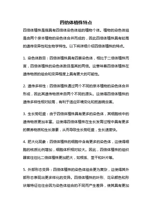 四倍体植株特点