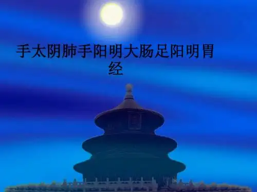 手太阴肺手阳明大肠足阳明胃经ppt课件