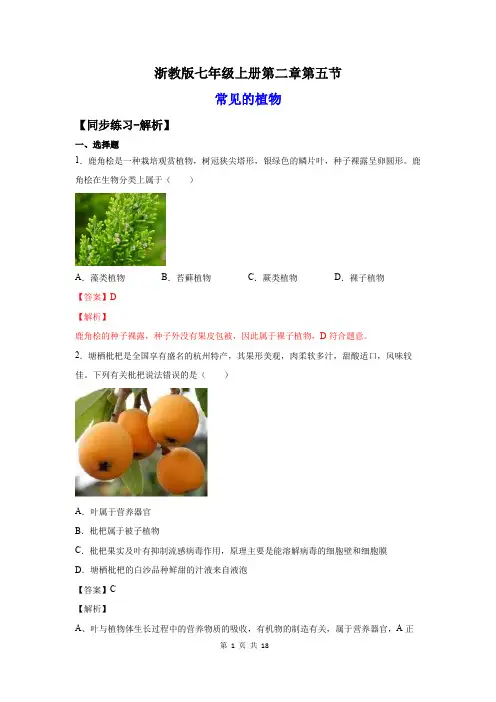 常见的植物(练习)(解析版)