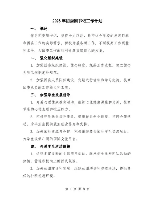 2023年团委副书记工作计划