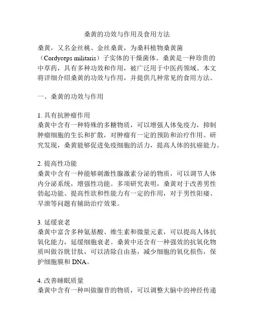 桑黄的功效与作用及食用方法
