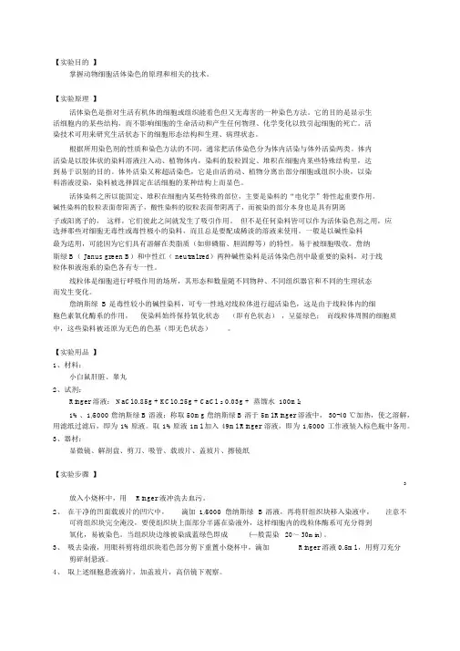 线粒体的超活染色与观察