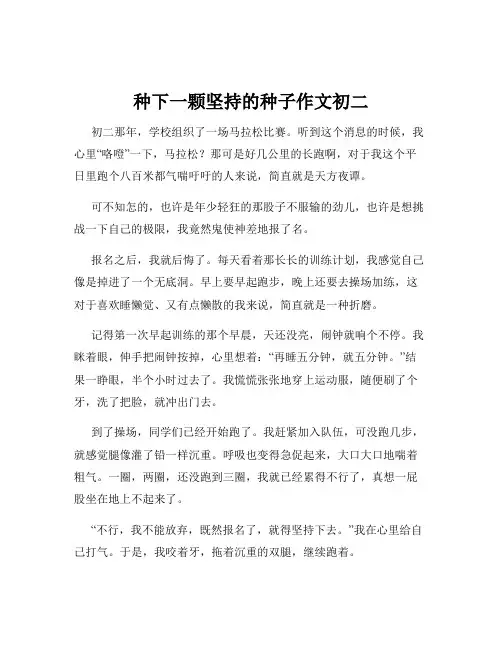 种下一颗坚持的种子作文初二
