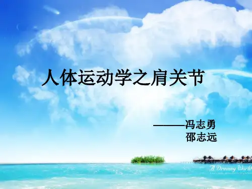 肩关节运动学