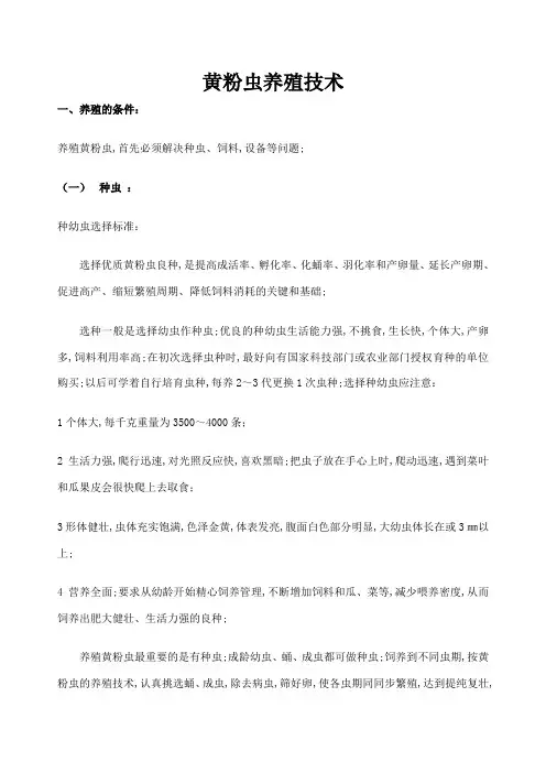 黄粉虫养殖技术