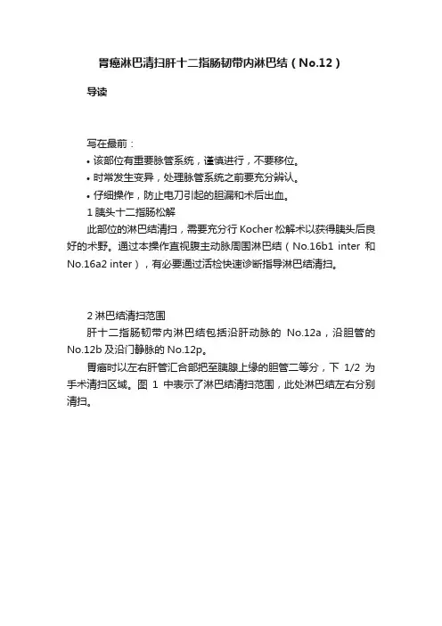 胃癌淋巴清扫肝十二指肠韧带内淋巴结（No.12）