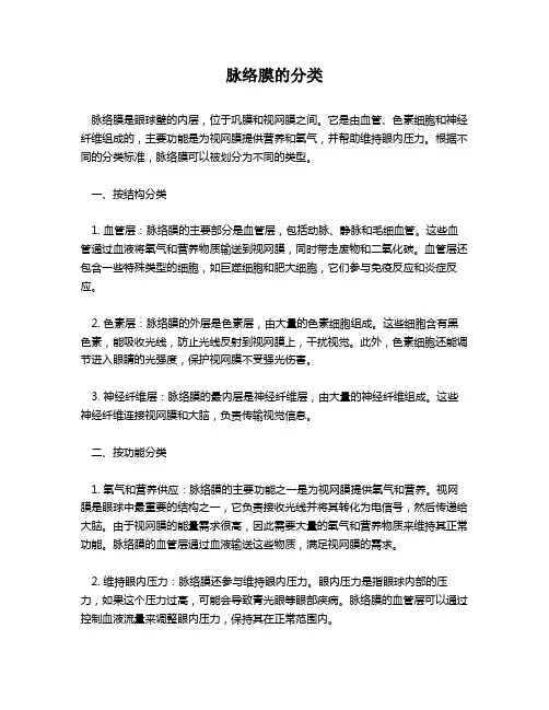 脉络膜的分类