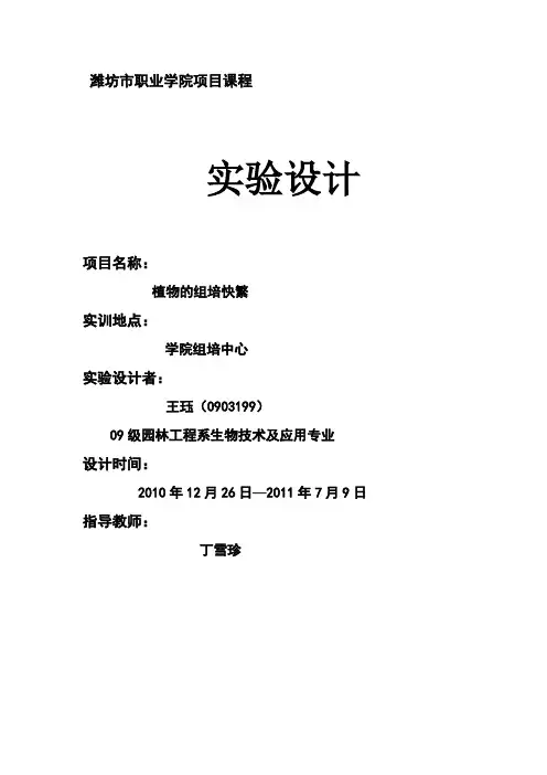 长寿花组培快繁实验设计