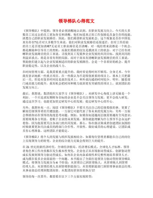 领导梯队心得范文
