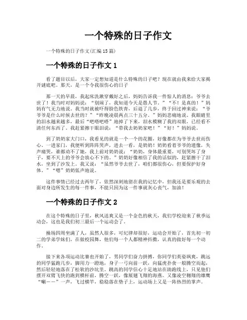 一个特殊的日子作文