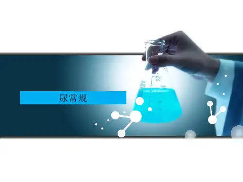 尿常规