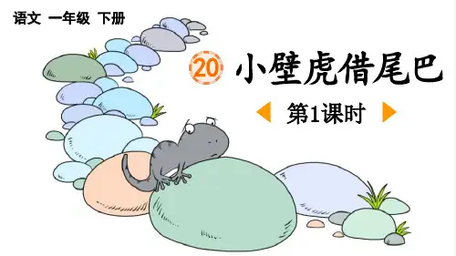 《小壁虎借尾巴》PPT课件(第1课时)