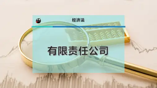 有限责任公司
