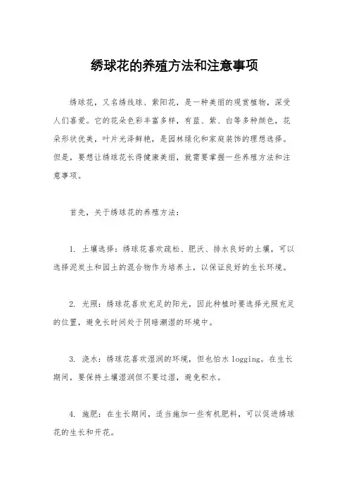 绣球花的养殖方法和注意事项