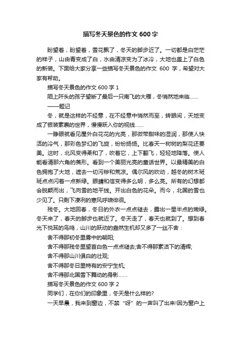 描写冬天景色的作文600字
