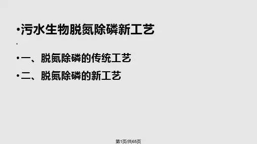 污水生物脱氮除磷教程PPT课件