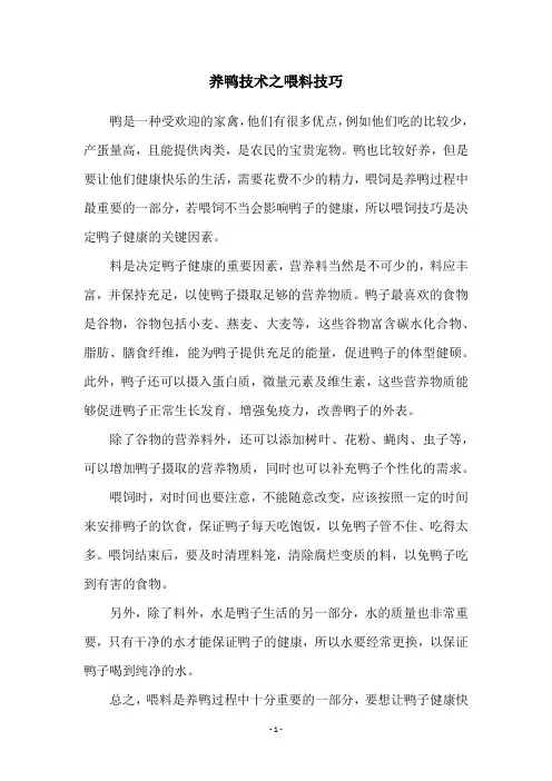 养鸭技术之喂料技巧